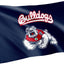 Bandera CSUF Bulldogs 3x5ft tela poliéster duradera
