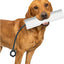 Juguete parachoques perro cuerda ajustable simulador agua