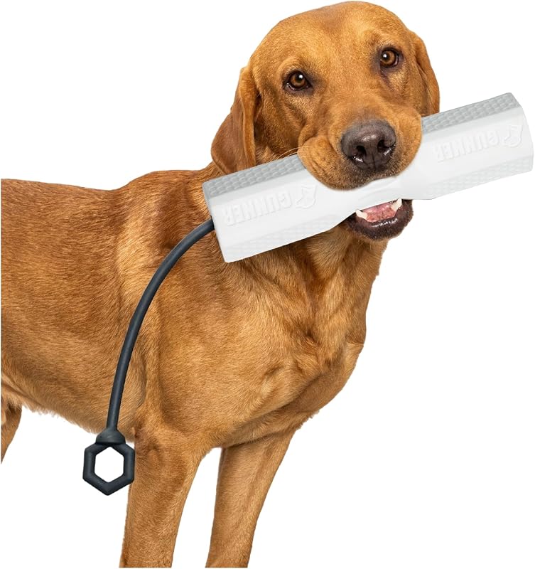 Juguete parachoques perro cuerda ajustable simulador agua