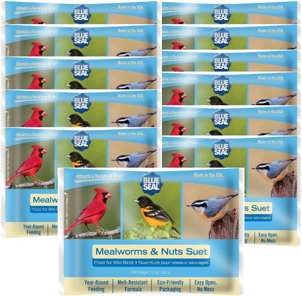 Tartas de sebo para pájaros silvestres 11oz pack 12