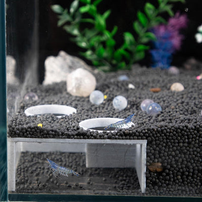 Túnel subterráneo para acuario de camarones decoración pecera