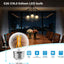 Bombilla LED E26 G16.5 Edison regulable 6W blanco cálido 2700K