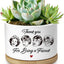 Maceta suculentas y cactus regalo amigas mujeres