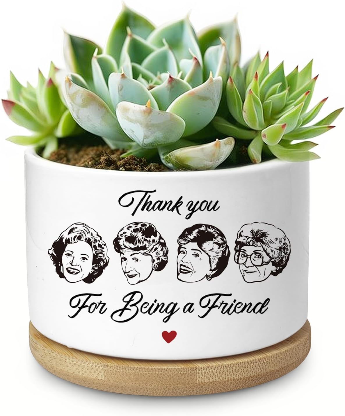 Maceta suculentas y cactus regalo amigas mujeres