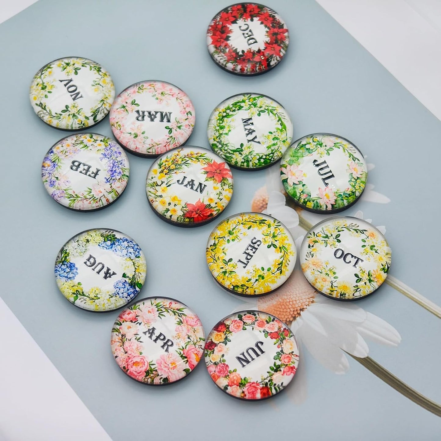 Pack 12 Imanes Redondos Decorativos Meses Año Florales