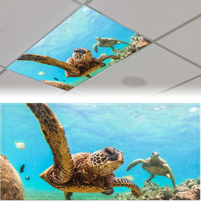 2 Pzas Cubiertas Luz Fluorescente Aula Magnética Decorativa