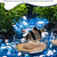 Plato transparente para camarones acuario vidrio