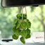 Planta colgante crochet para coche decoración retrovisor