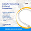 Cable Ethernet Cat6a flexible 10 Gbps con conectores dorados