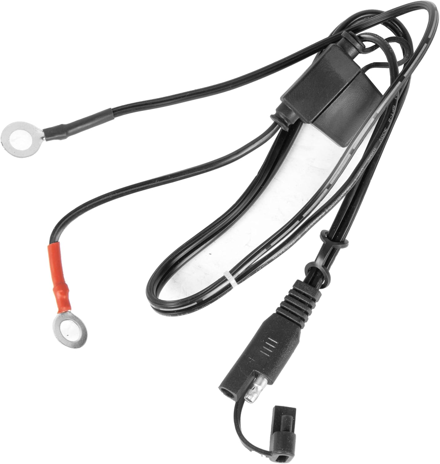 Mantenedor batería 12V cargador flotante conector rápido SAE