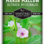 Semillas malvavisco hierba medicinal raíz tradicional jardín