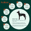 Chaleco salvavidas perro grande reflectante XXL color verde