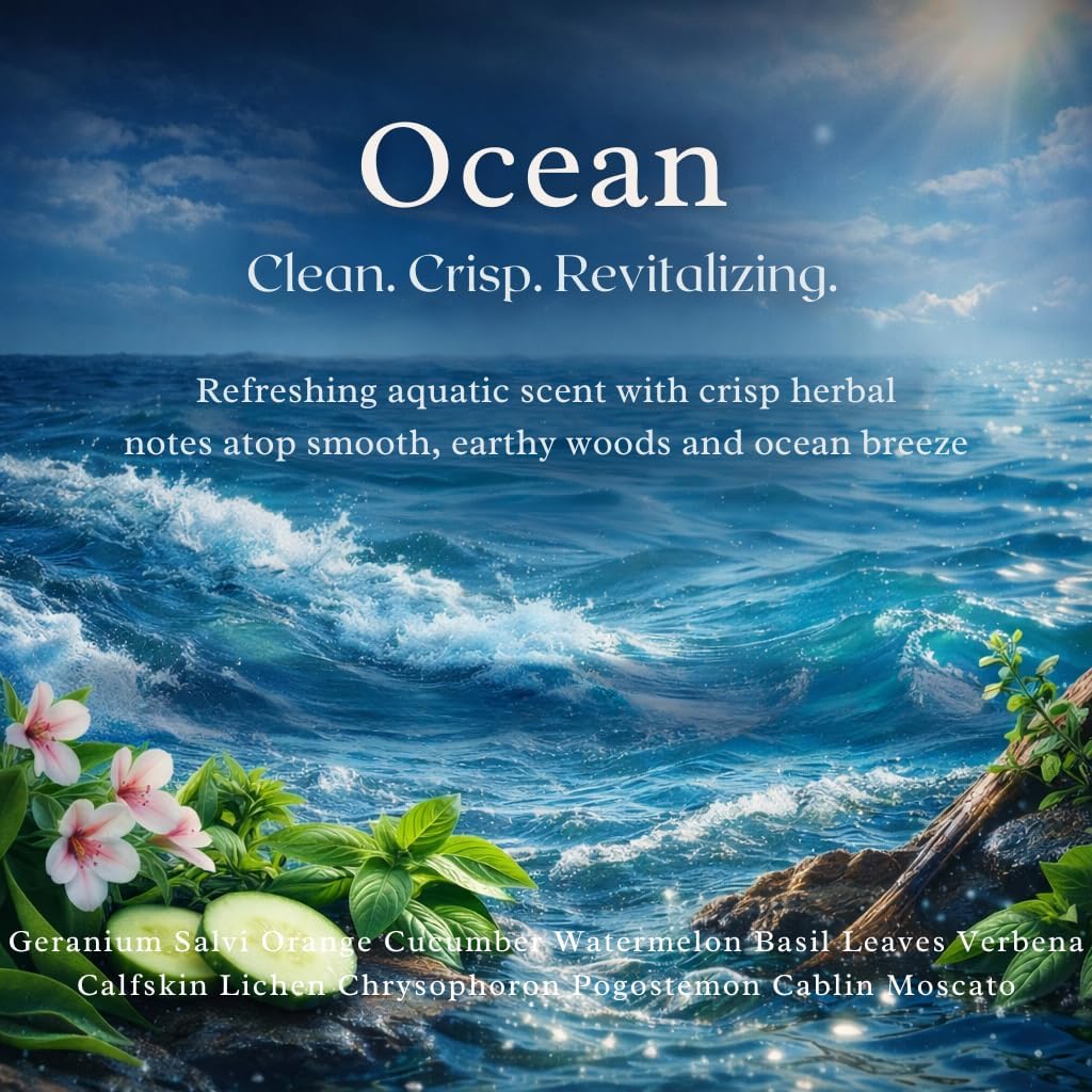 Recarga ambientador coche set 6x10ml Océano