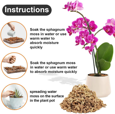 Musgo turba fibra larga para orquídeas Phalaenopsis