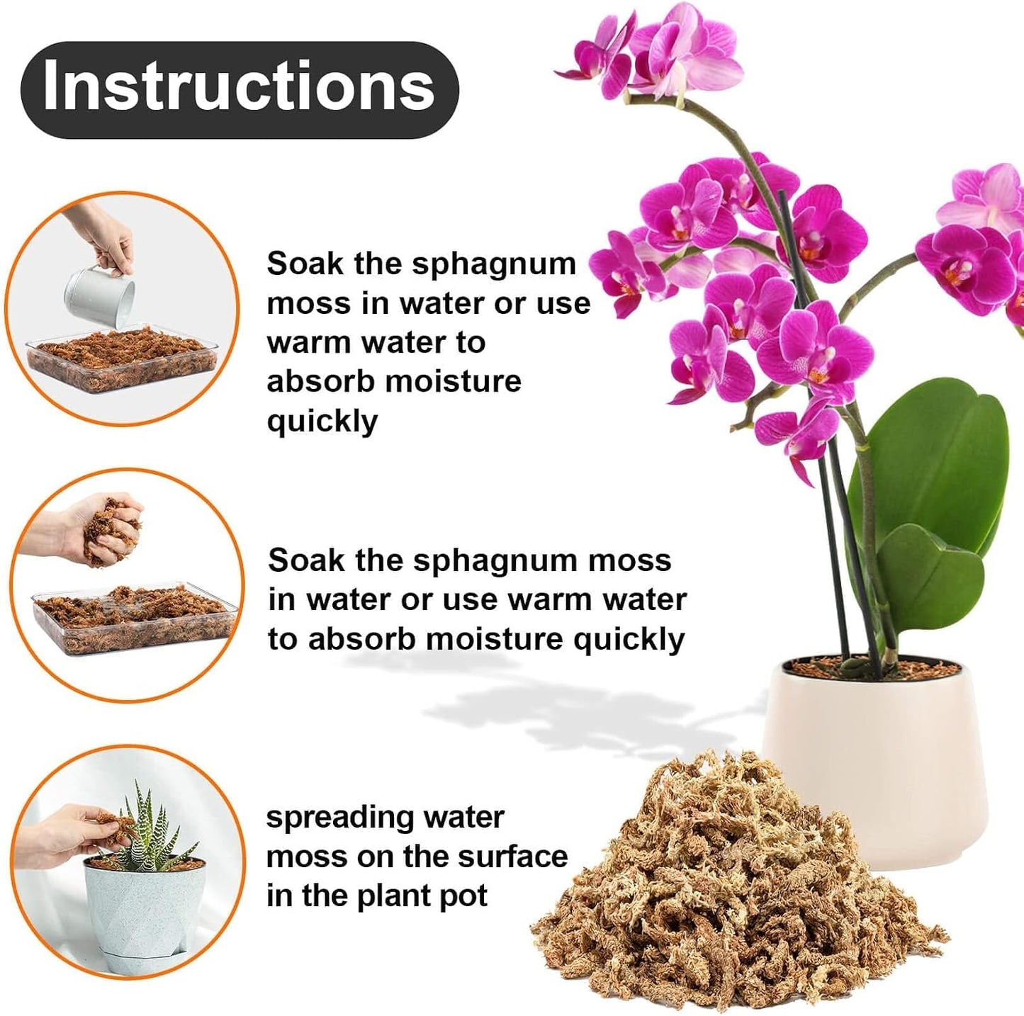 Musgo turba fibra larga para orquídeas Phalaenopsis