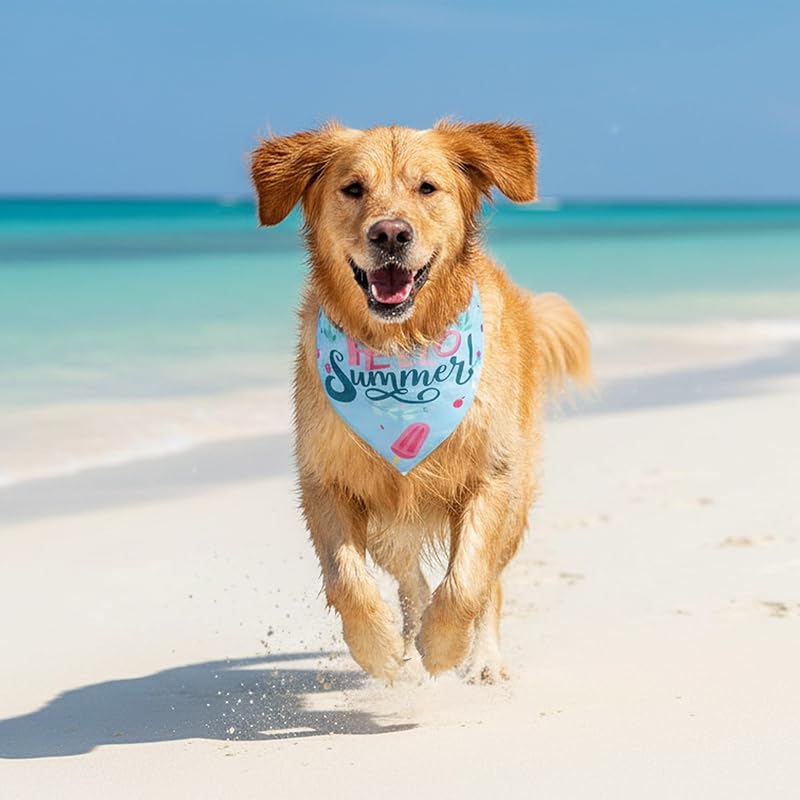 Bandana verano perro grande reversible azul paleta transpirable