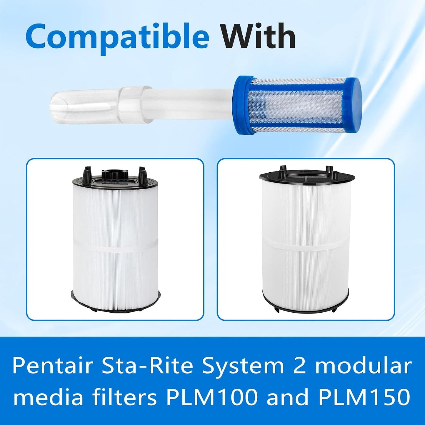 Repuesto kit purga aire Pentair Sta-Rite System 2 PLM