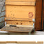 Reductor entrada colmena madera 10 marcos protector