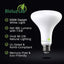 8 Pzas Bombilla LED BR30 5000K 650lm E26 Regulable
