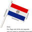 Banderas mano Paraguay 5x8pulg pack 12