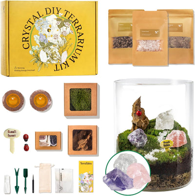 Kit terrario cristal bricolaje con musgo piedra fibra