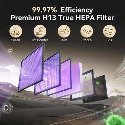 Filtro repuesto Coway Airmega H13 HEPA y carbón