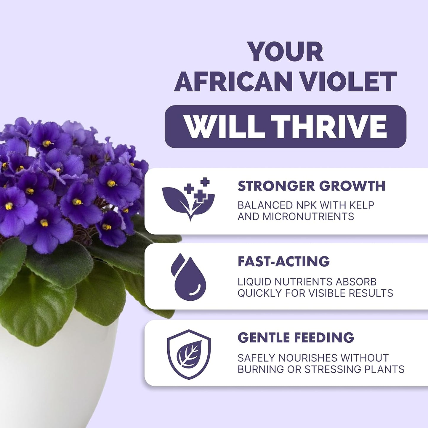 Fertilizante líquido para plantas violeta africana 1gal