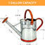 Regadera acero galvanizado pico removible 1gal tono zinc