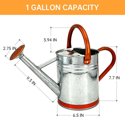 Regadera acero galvanizado pico removible 1gal tono zinc