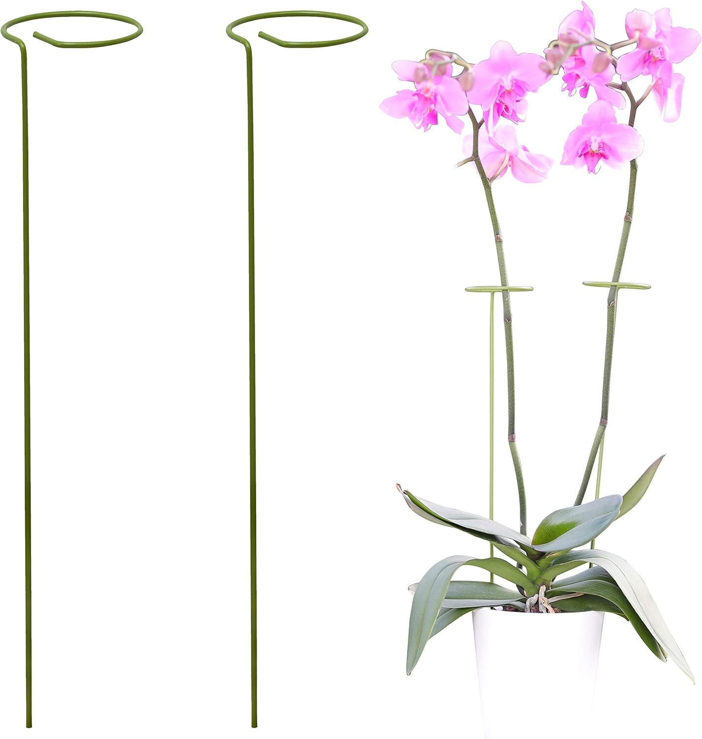 2 Estacas Verdes para Plantas y Flores Altas Jardín