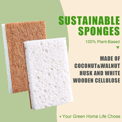 Esponja cocina biodegradable paquete 12 con limpiador coco