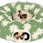 Cama túnel para gatos con cojín suave y juguetes
