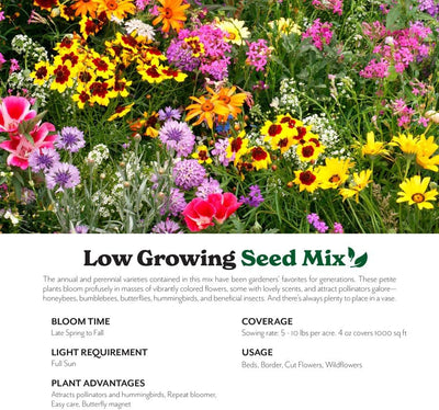 Mezcla semillas flores silvestres anuales y perennes 1lb