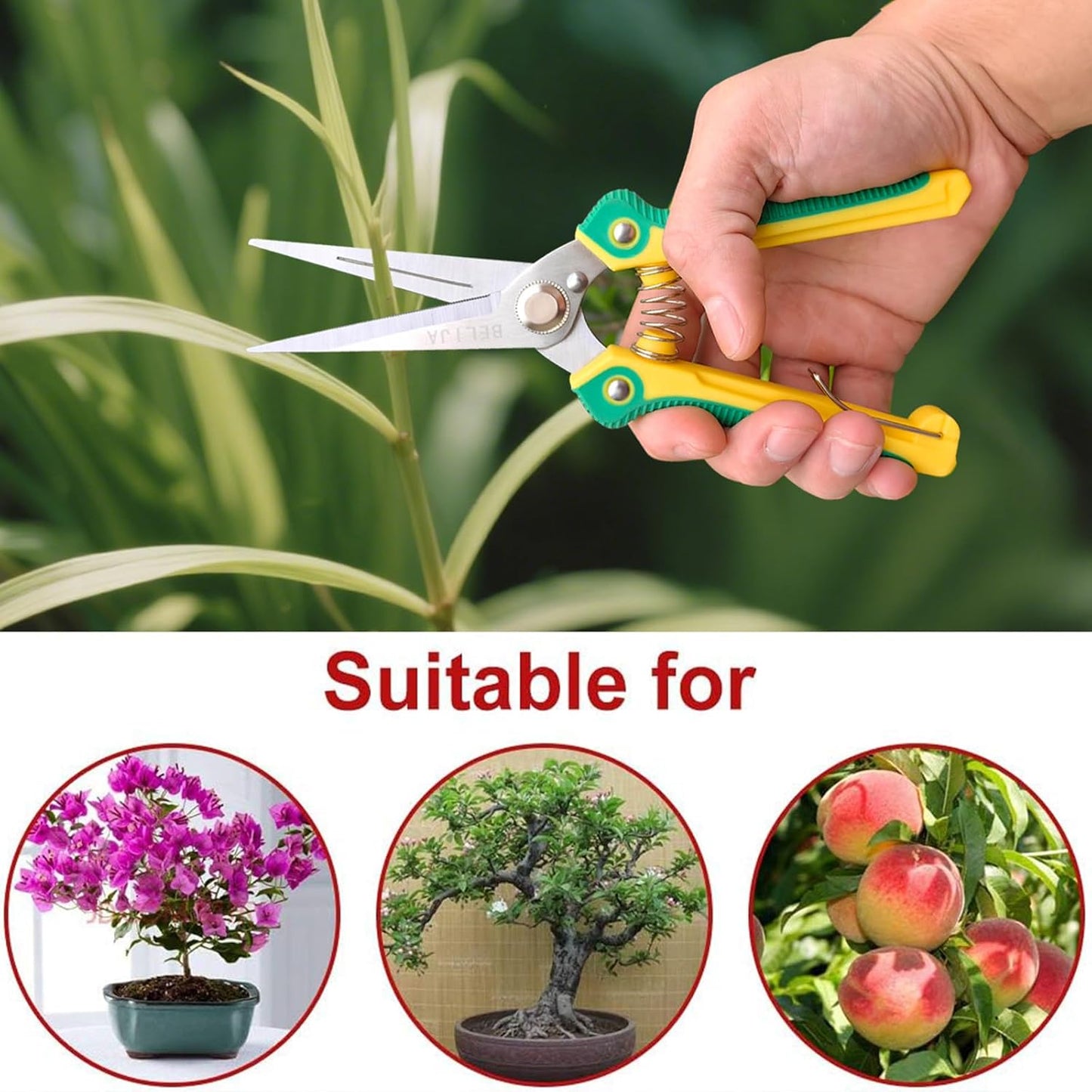 Tijeras podar jardinería acero inox 8.1pulg verde