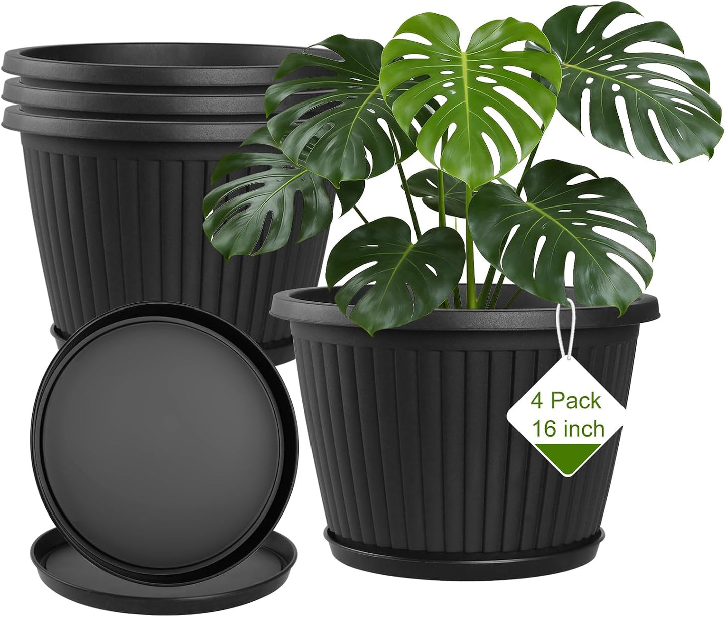 Maceta resina 16pulg con agujeros drenaje y platillo para Monstera