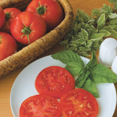 Híbrido Supersteak tomate bistec rojo grande 50 semillas