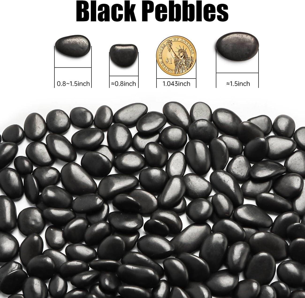 Rocas negras decorativas para suculentas y jarron