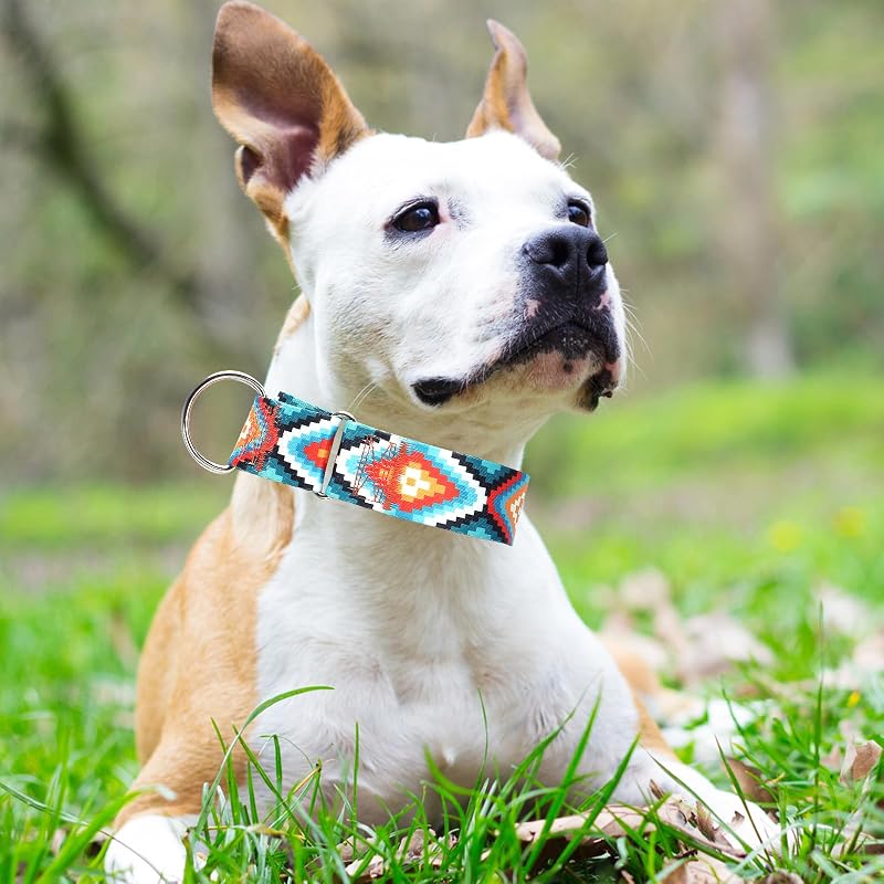 Collar martingale perro grande ancho duradero cómodo