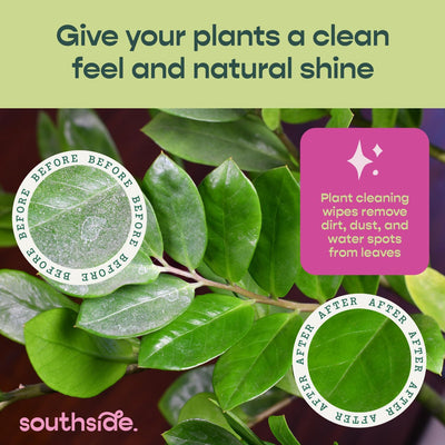 Toallitas limpieza plantas sin perfume 80uds