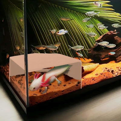 Cueva para camarones tanque acuario decoración duradera