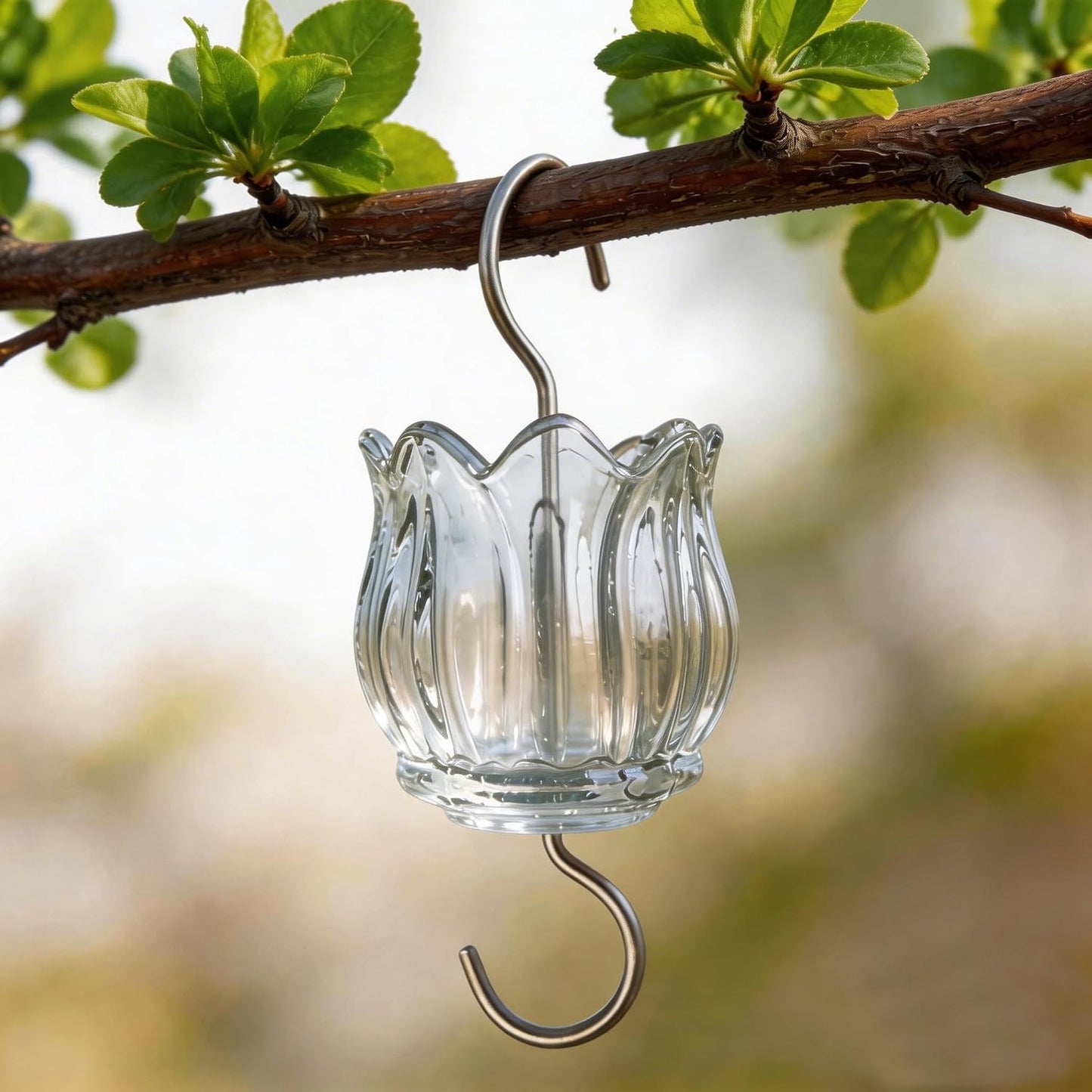 Foso hormigas vidrio comedero colibríes 3oz transparente
