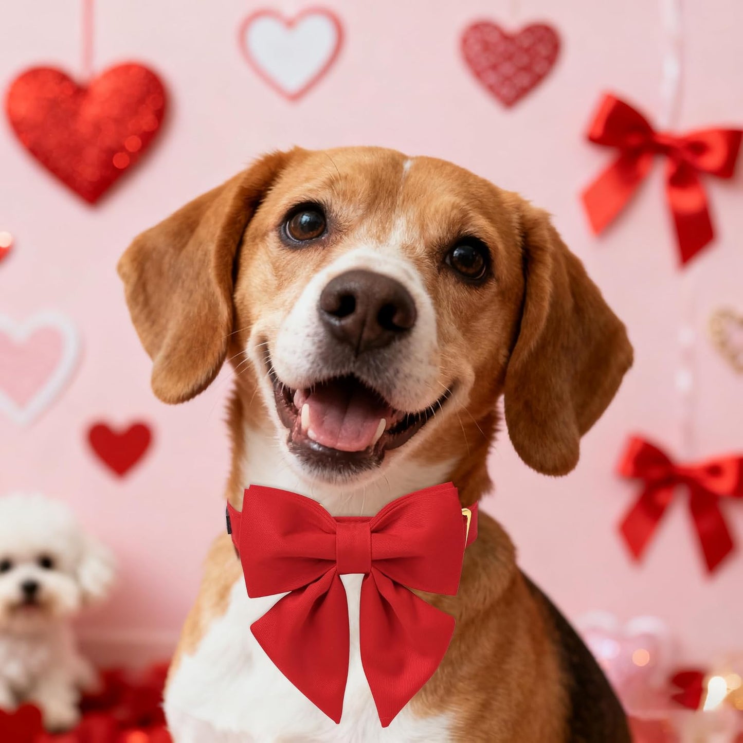 Collar rojo para perros pequeños con lazo marino ajustable