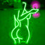Letrero Neón Lady Back LED para Dormitorio Bar Fiesta