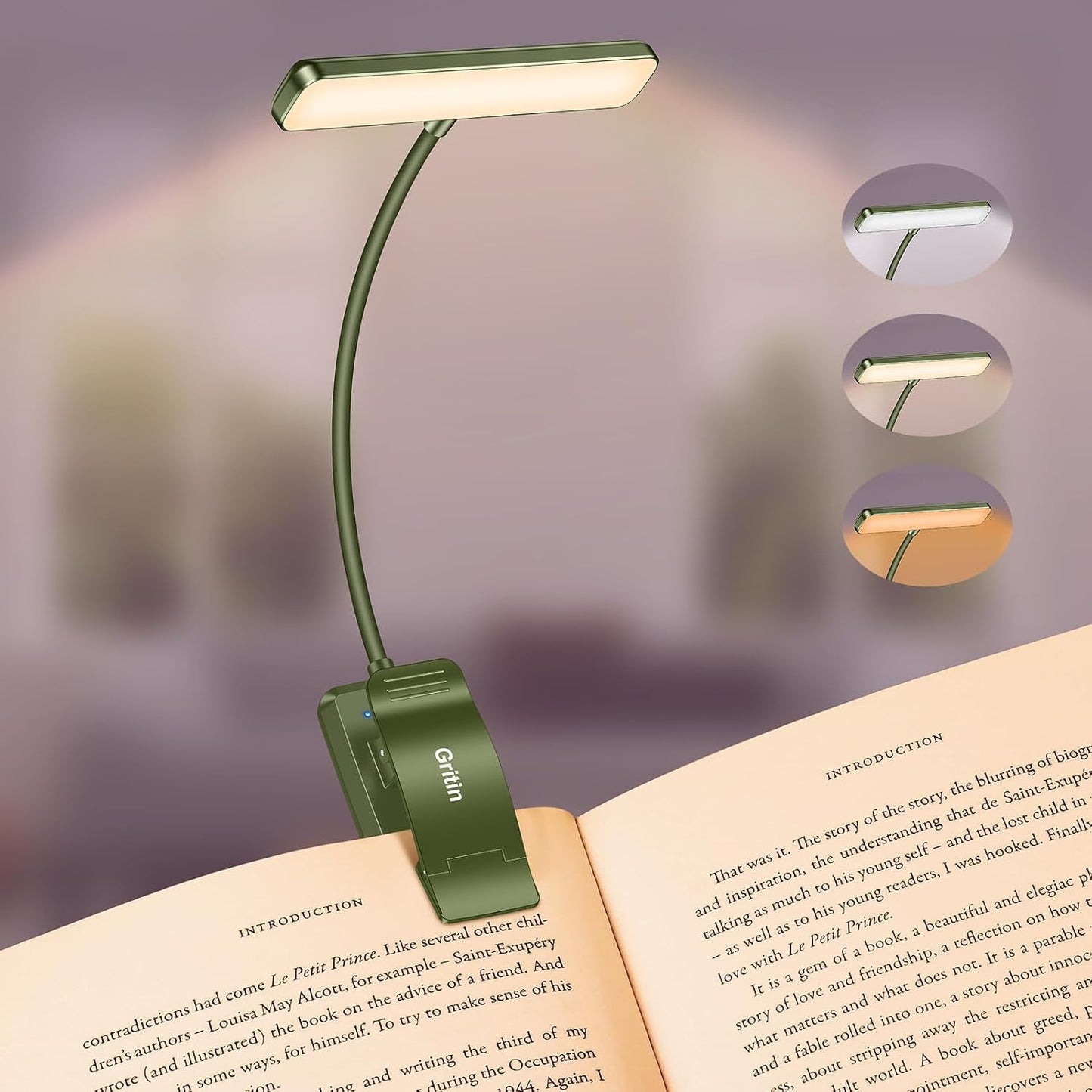 Luz libro recargable 19 LED 3 temperaturas brillo ajustable