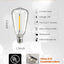 Pack 10 Bombillas LED ST38 24V Base E12 Impermeable IP65