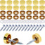 Juego 16 tapas doradas de latón 0.63pulg decorativas