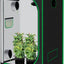 Tienda cultivo interior 48x48x78" Mylar plantas
