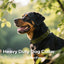 Collar perro mediano neopreno ajustable reflectante verde