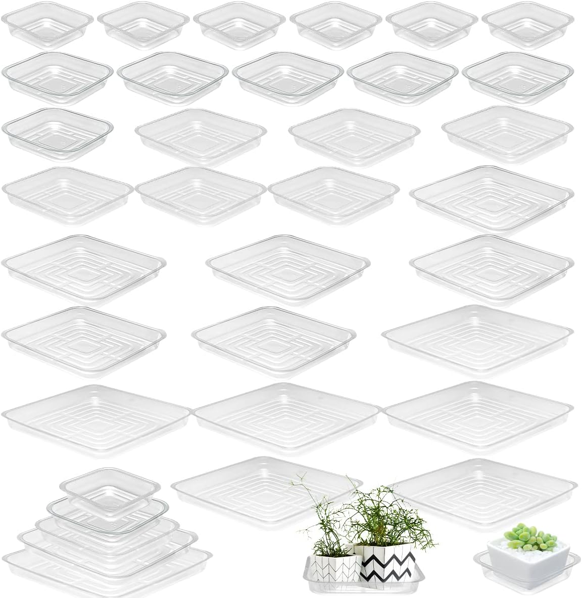 30 Platillos Plantas 4-12" Bandejas Plástico Goteo