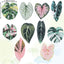 10 imanes decorativos para nevera en forma de hojas